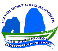 capribyboat logo